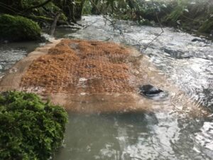 SiltMat-in-river-to-capture-sediment-downstream-of-polluting-inflow