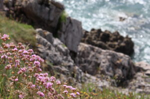 A photograph of the coastline at Langland Bay, on the Gower Peninsula, Wales