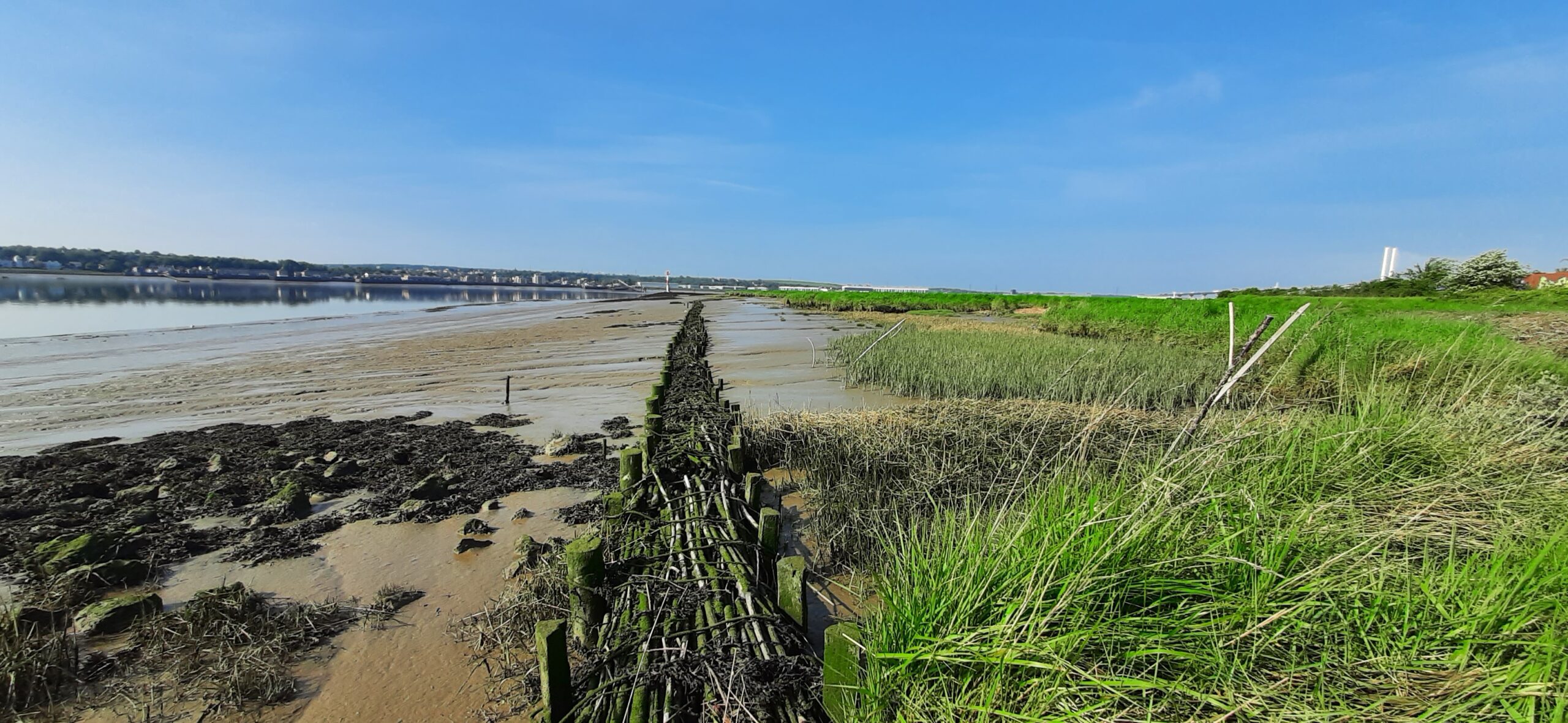 West Thurrock Salt Marsh